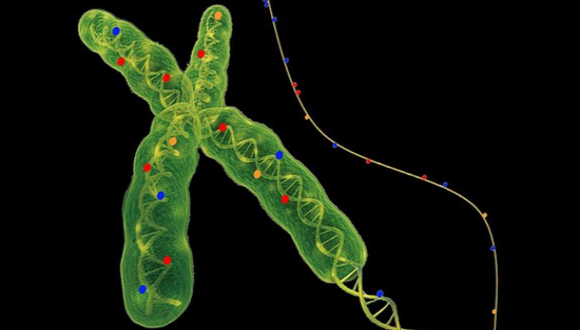 אפיגנטיקה – ה- DNA שלנו הוא אנחנו