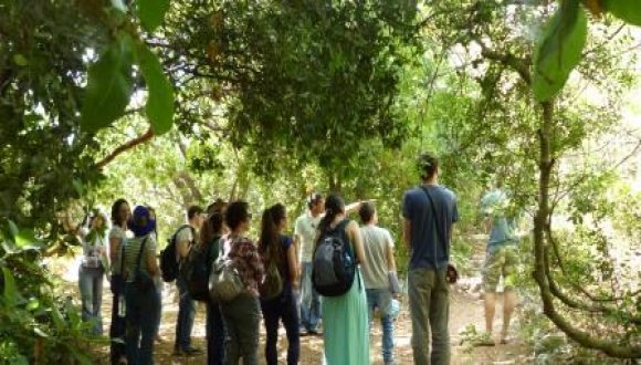 סיור ט”ו בשבט בגן הבוטני: עצי ארץ ישראל בתרבות, בהיסטוריה ובחיי היום-יום